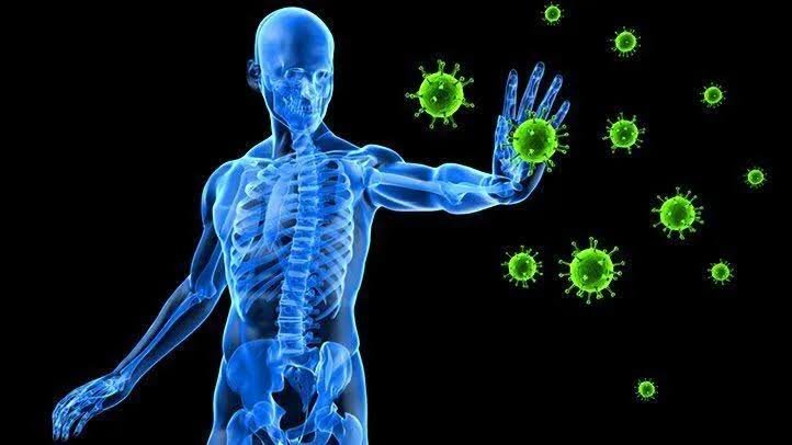 10 Amazing Facts About How the Human Body Fights Infection