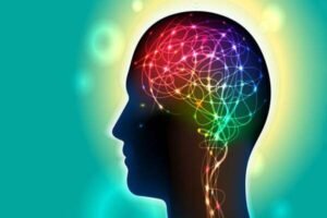 10 Interesting Facts About How the Human Brain Processes Memory