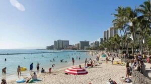 How to Choose Between a Crowded Beach and a Secluded One