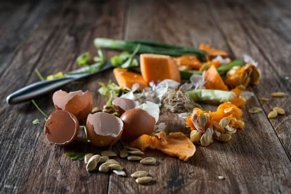 The Environmental Impact of Food Waste in Modern Households